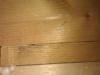 imag0664